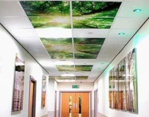 ceiling graphics