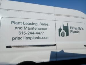 White van with text advertising Priscilla&rsquo;s Plants for plant leasing, sales, and maintenance, including a phone number and website, along with a green logo.